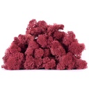 LIC/0563 Stabilisierten Islandmoos Burgund - W-Box 0,5 kg