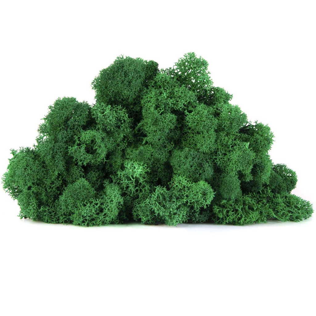 LIC/0578 Stabilisierten Islandmoos Grasgrün - W-Box 0,5 kg