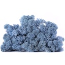 LIC/0585 Lichene stabilizzato Lavanda - scatola con 0,5 kg