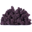LIC/0588 Stabilisierten Islandmoos Aubergine - W-Box 0,5 kg
