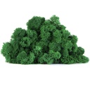 LIC/4078 Lichene stabilizzato Erba Verde Box 4 kg