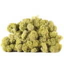LIC/4082 Stabilisierten Islandmoos Grün Olive - Box 4 kg