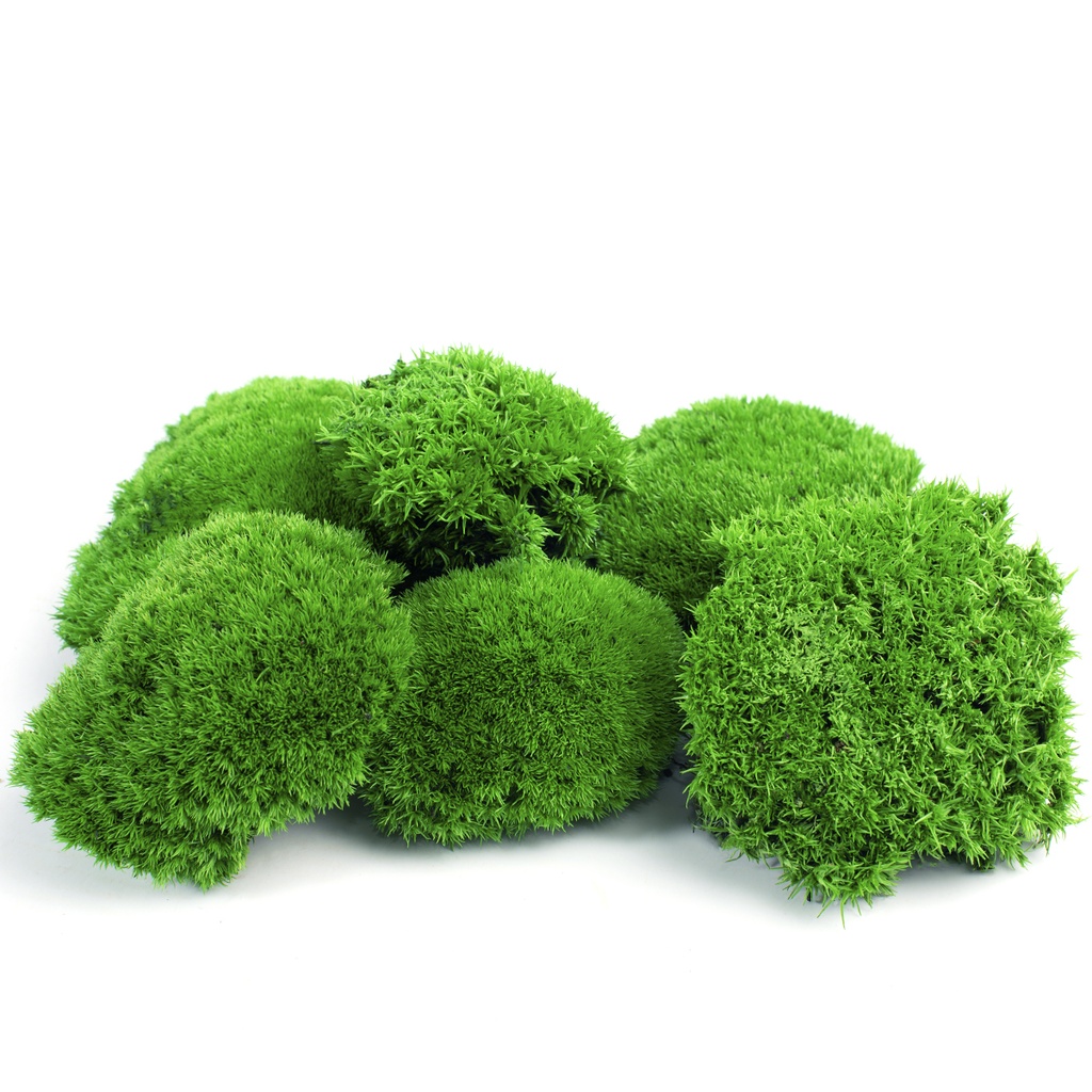 MBN/1100 Preserved Ball Moss - Box 0,4 kg - Mini (green)
