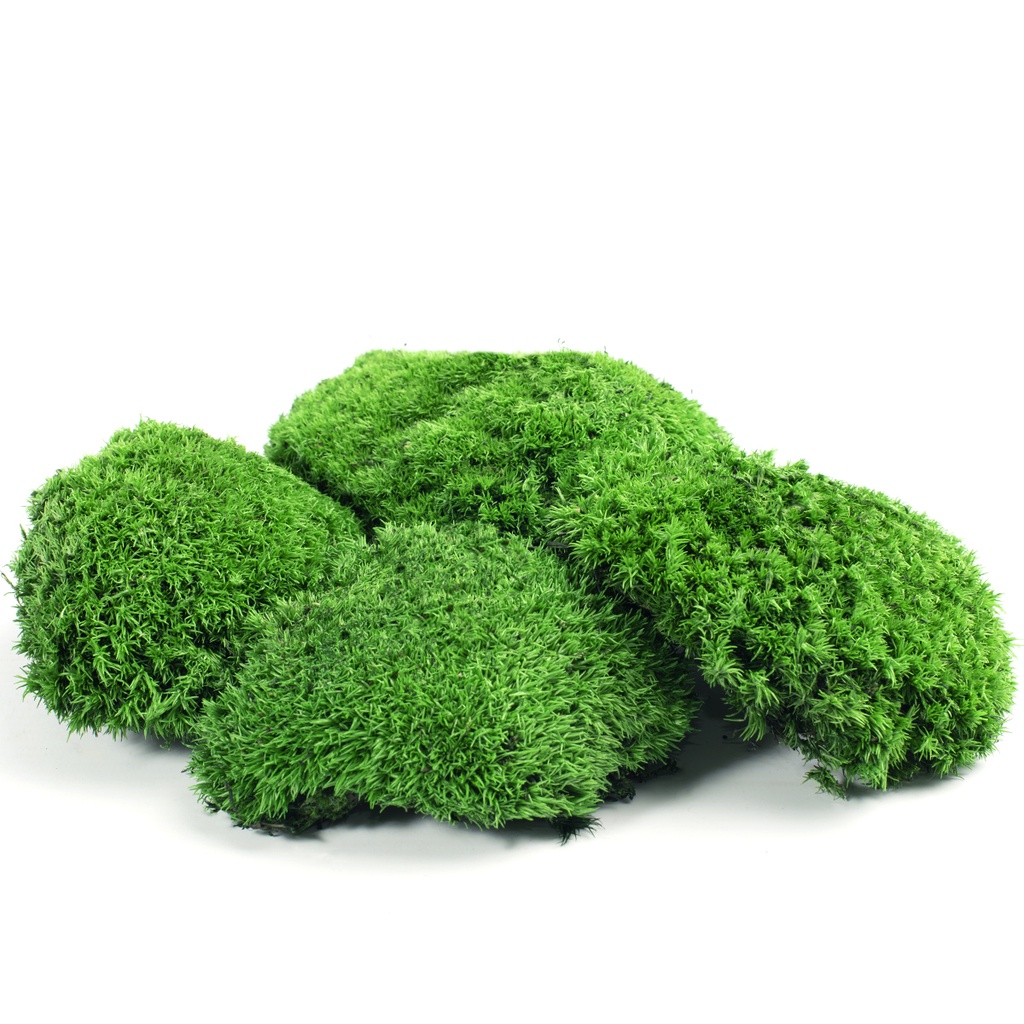 MBS/1110 Palla di muschio stabilizzata - Scatola da 0,35 kg - Verde scuro