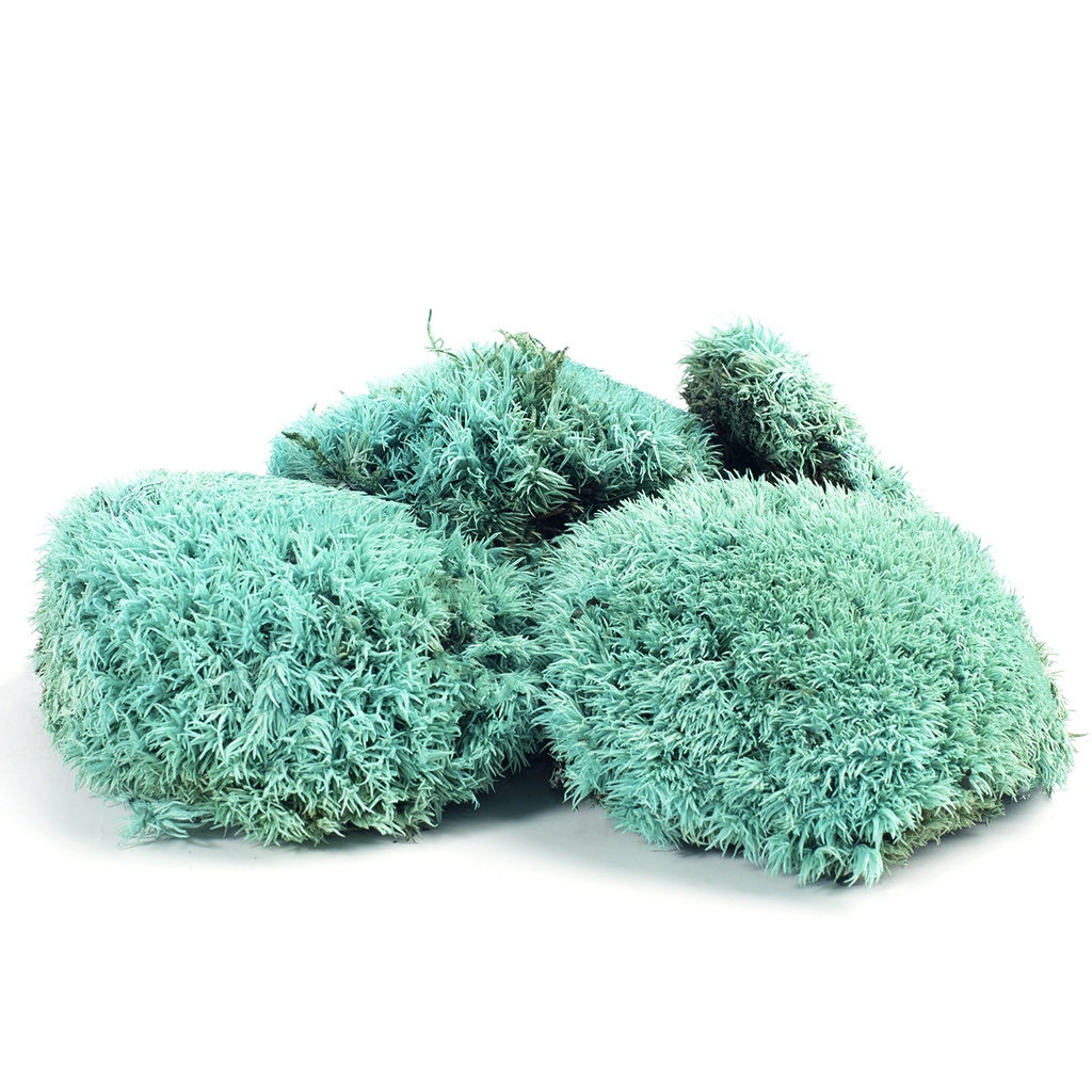 MBS/1600 Stabilisiertes Kugelmoos - Box 0,25 kg - Blau