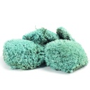 MBS/1600 Stabilisiertes Kugelmoos - Box 0,25 kg - Blau