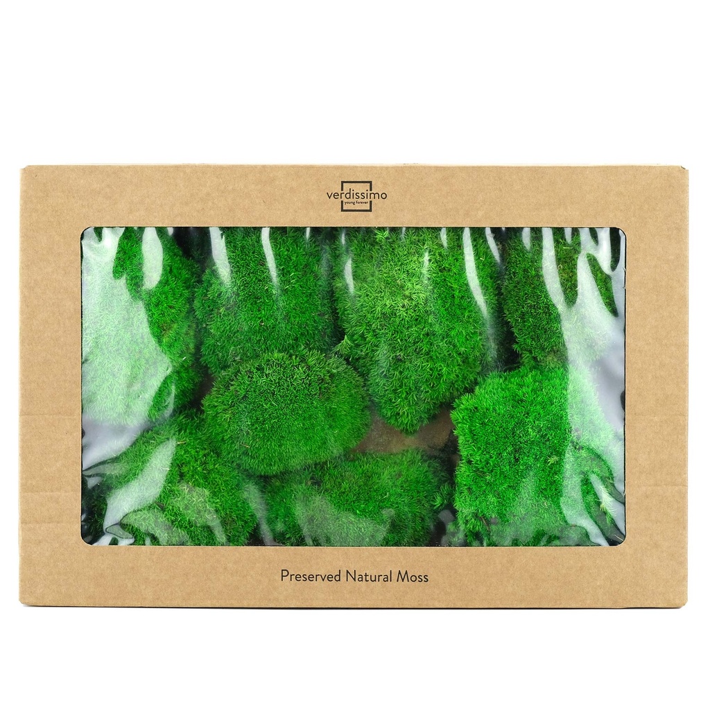 MOB/1100  Preserved Ball Moss - W-Box 0,2 kg - Green