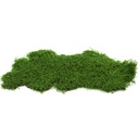 MPV/2500 Preserved Flat Moss Forest - Bulk Box 2,5 kg - Green