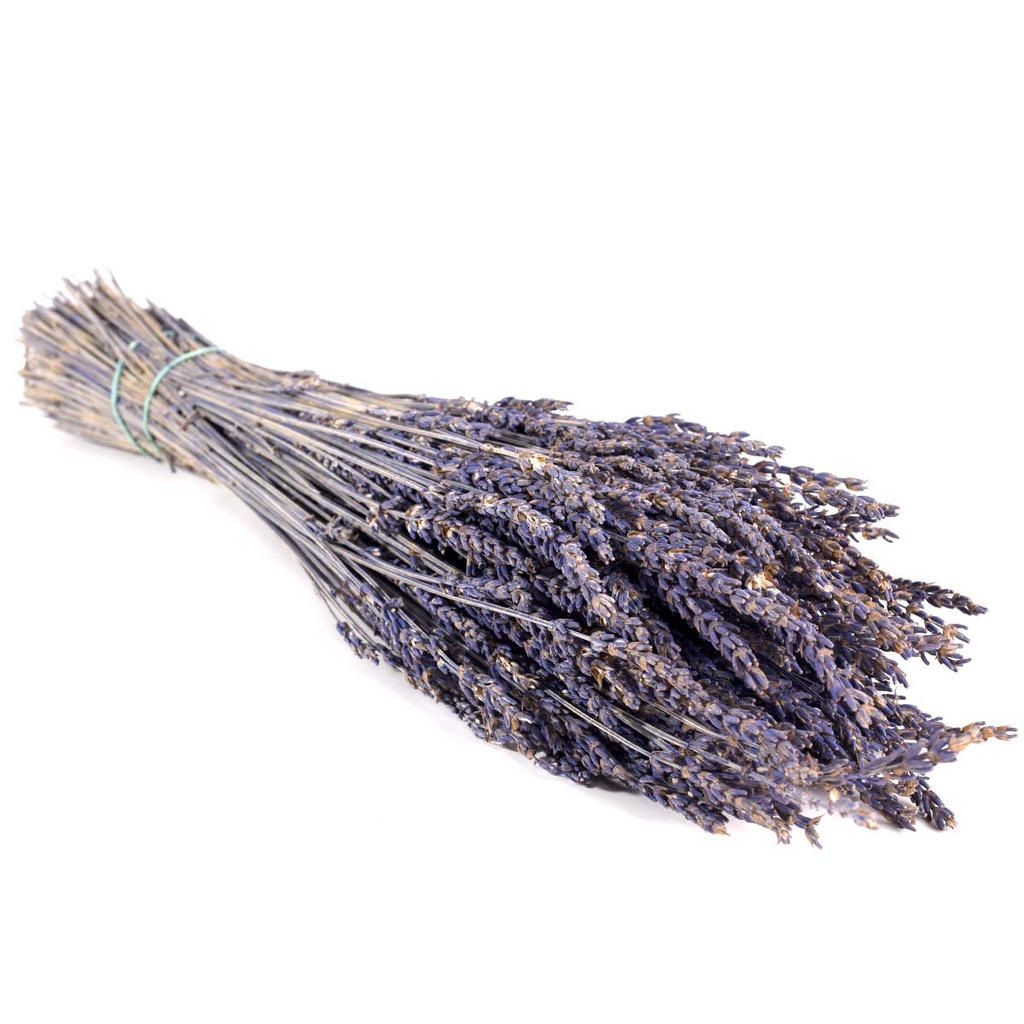 LVE/0830T Lavandan preserved Purple 40-60 cm
