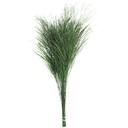 TIK/0104 Tiki - Tree Fern stabilisierte Grün 40-50 cm