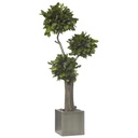 JSA/0116 Jumbo Bonsai Salal Preserved Tree Africa – Green, 160 cm Height | Indoor Decorative Tree