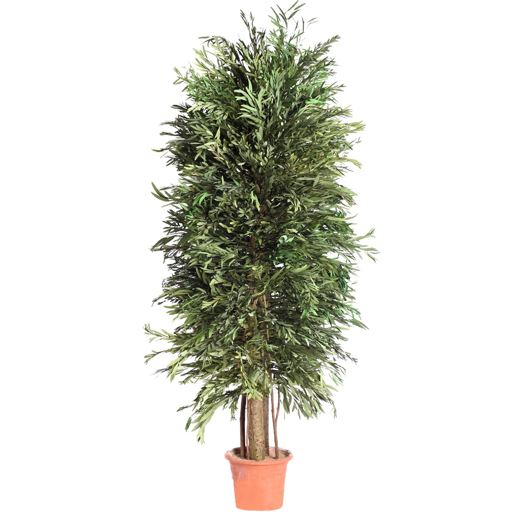 ANI/0118 Buschiger Baum stabilisiert Grün Nicoly Höhe 180 cm