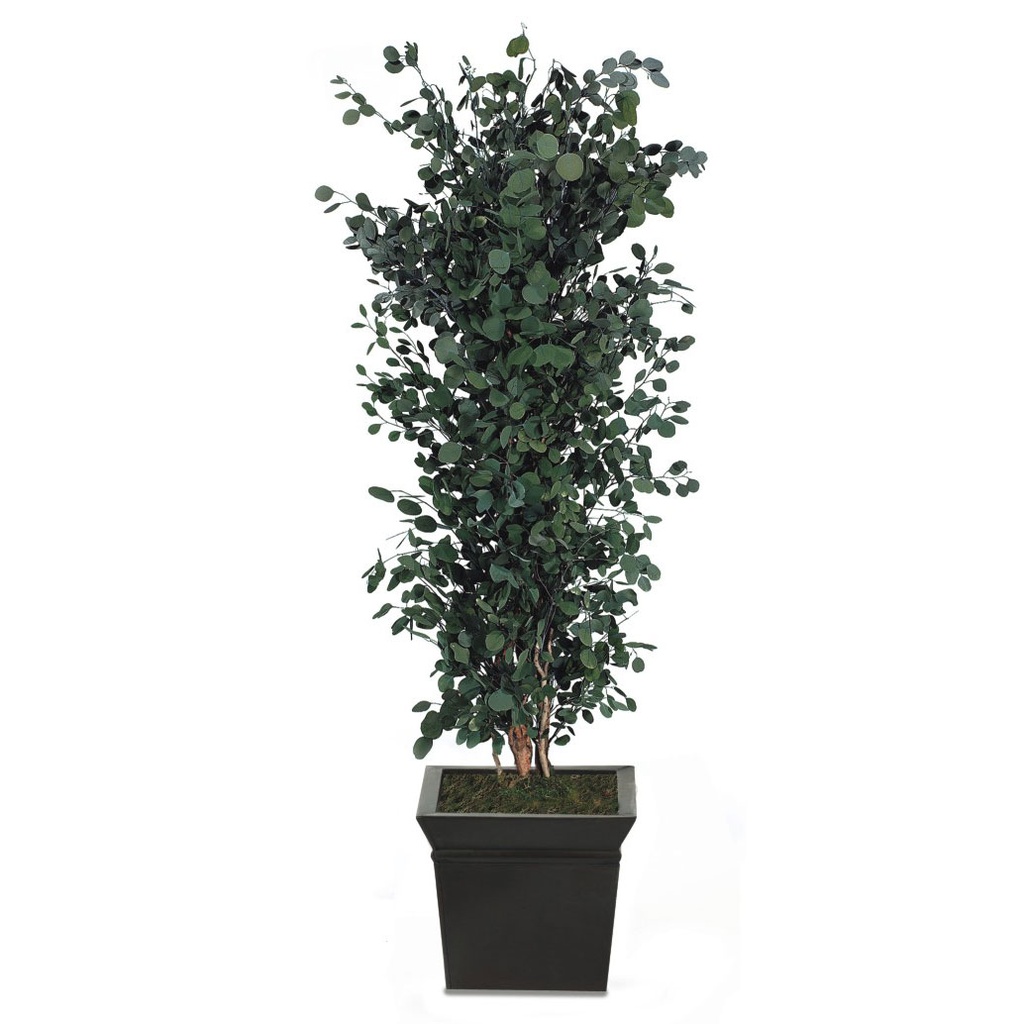 APO/0124 Arbre touffus stabilisé Vert Populus hauteur 240 cm
