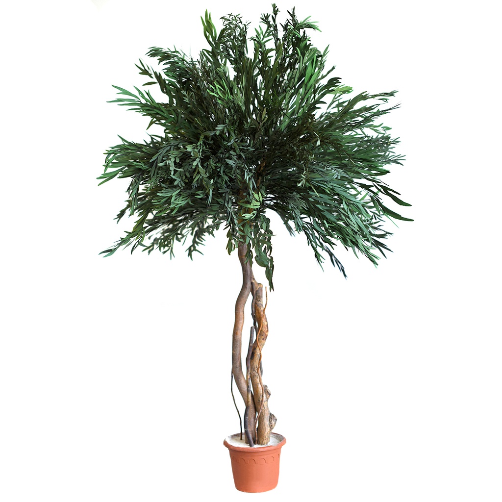 CNI/0113 Pilzbaum stabilisiert Grün Nicoly Höhe 130 cm