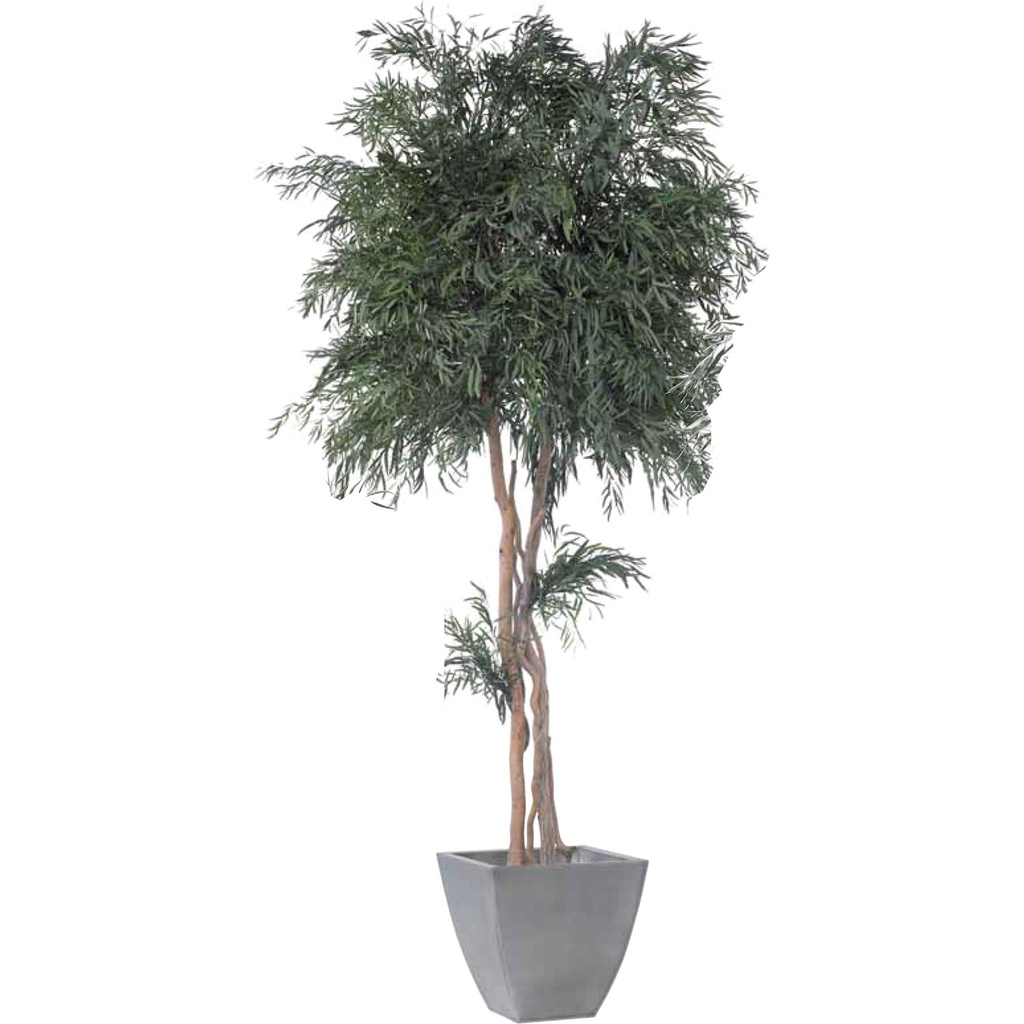 CNI/0124 Mushroom Nicoly Preserved Tree – Green, 240 cm Height | Indoor Decorative Tree 