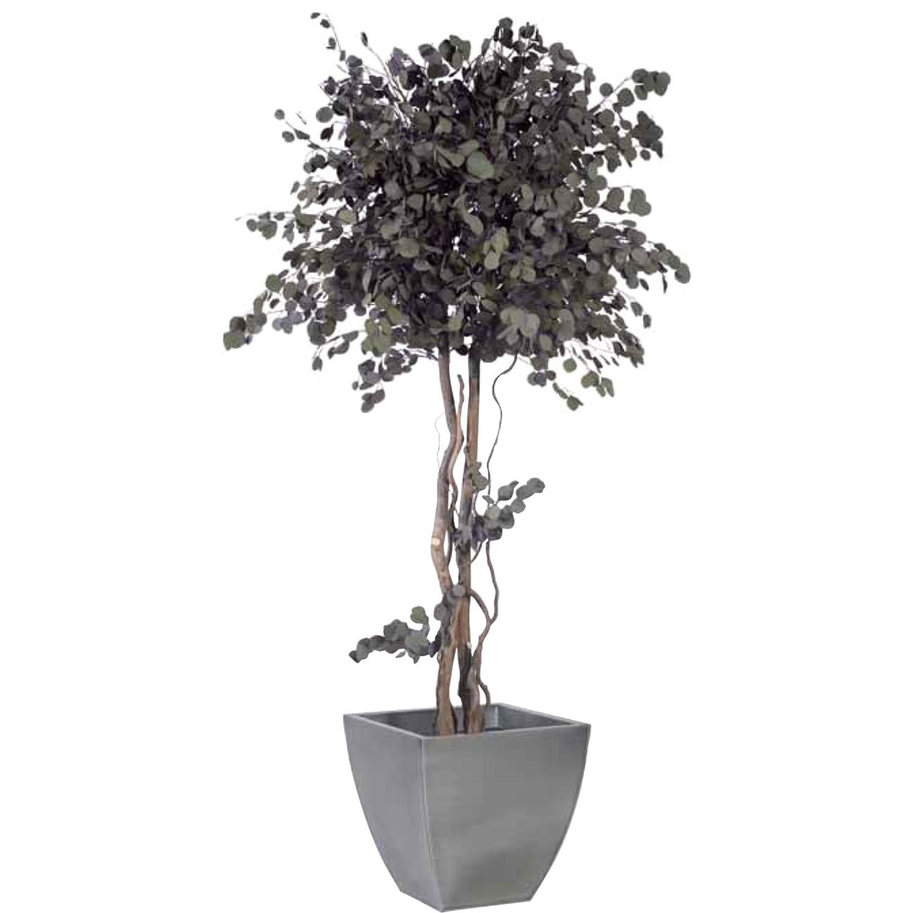 CPO/0120 Mushroom tree preserved Green Populus height 200 cm