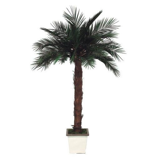 KPH/0240 Palme stabilisiert Grün Kit Phoenix (31 Leaves + Trunk + Metal Base ) Höhe 240 cm