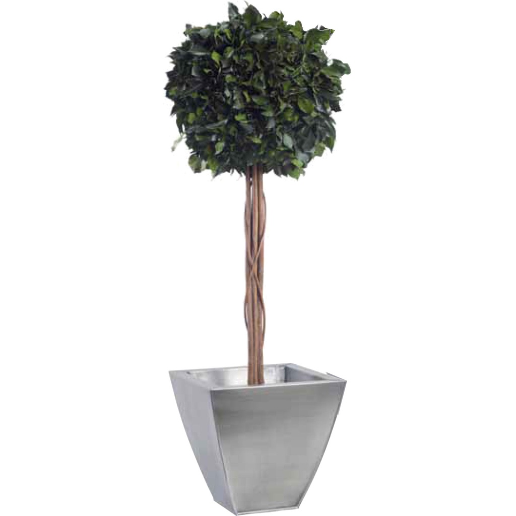 BHE/0110 Arbre Topiaire stabilisé Vert Hedera (Lierre) diam 30 cm hauteur 100 cm