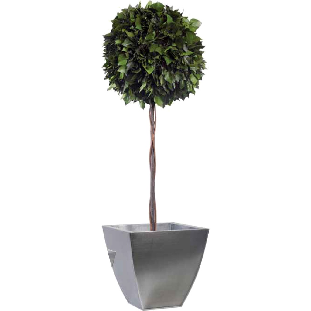 BHE/0114 Topiary-Baum stabilisiert Grün Hedera (Ivy) diam 45 cm Höhe 140 cm
