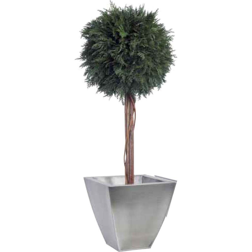 BTH/0110 Arbre Topiaire stabilisé Vert Thuya 30 Cm
