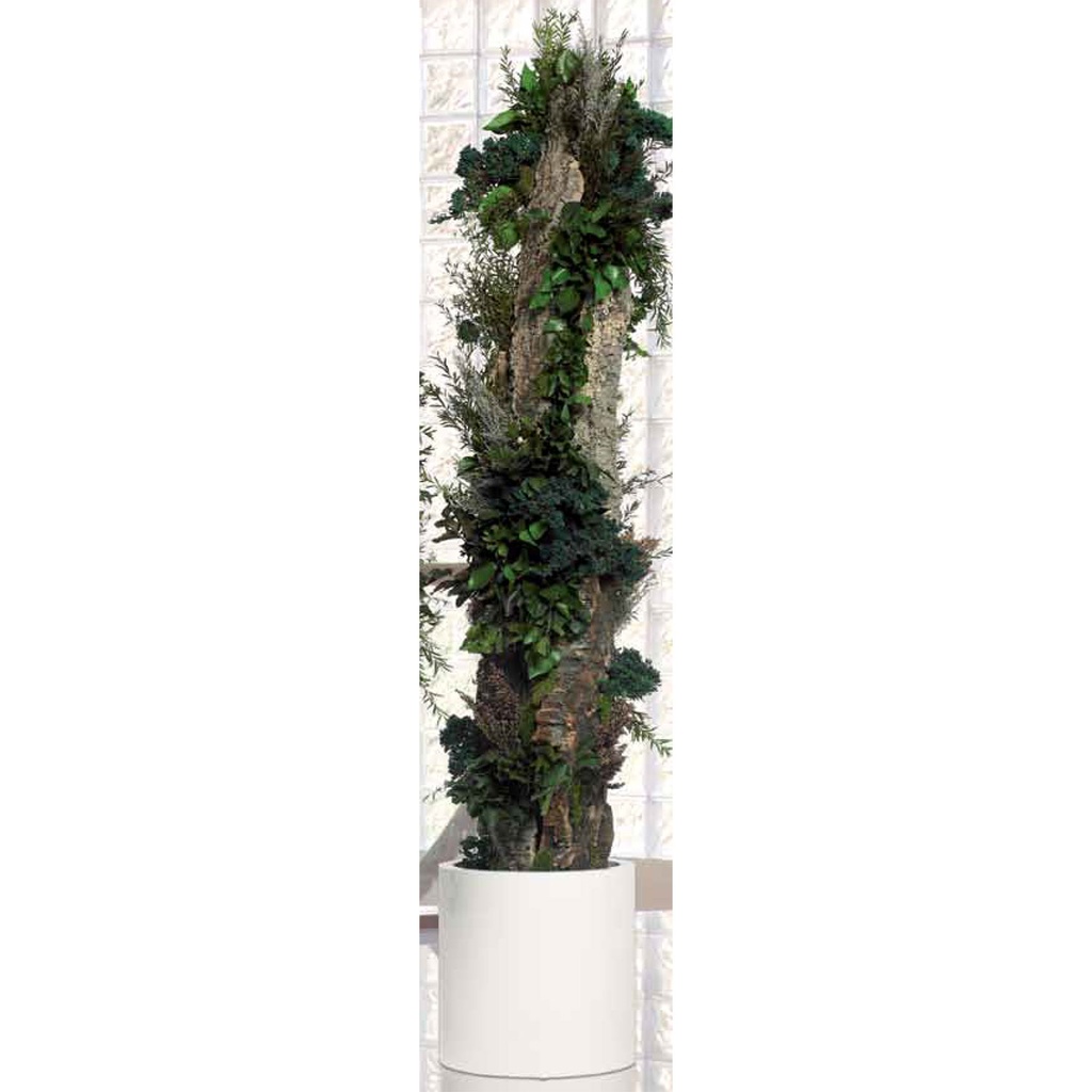 T-BOS20 Totem stabilisé Vert Bosque 1