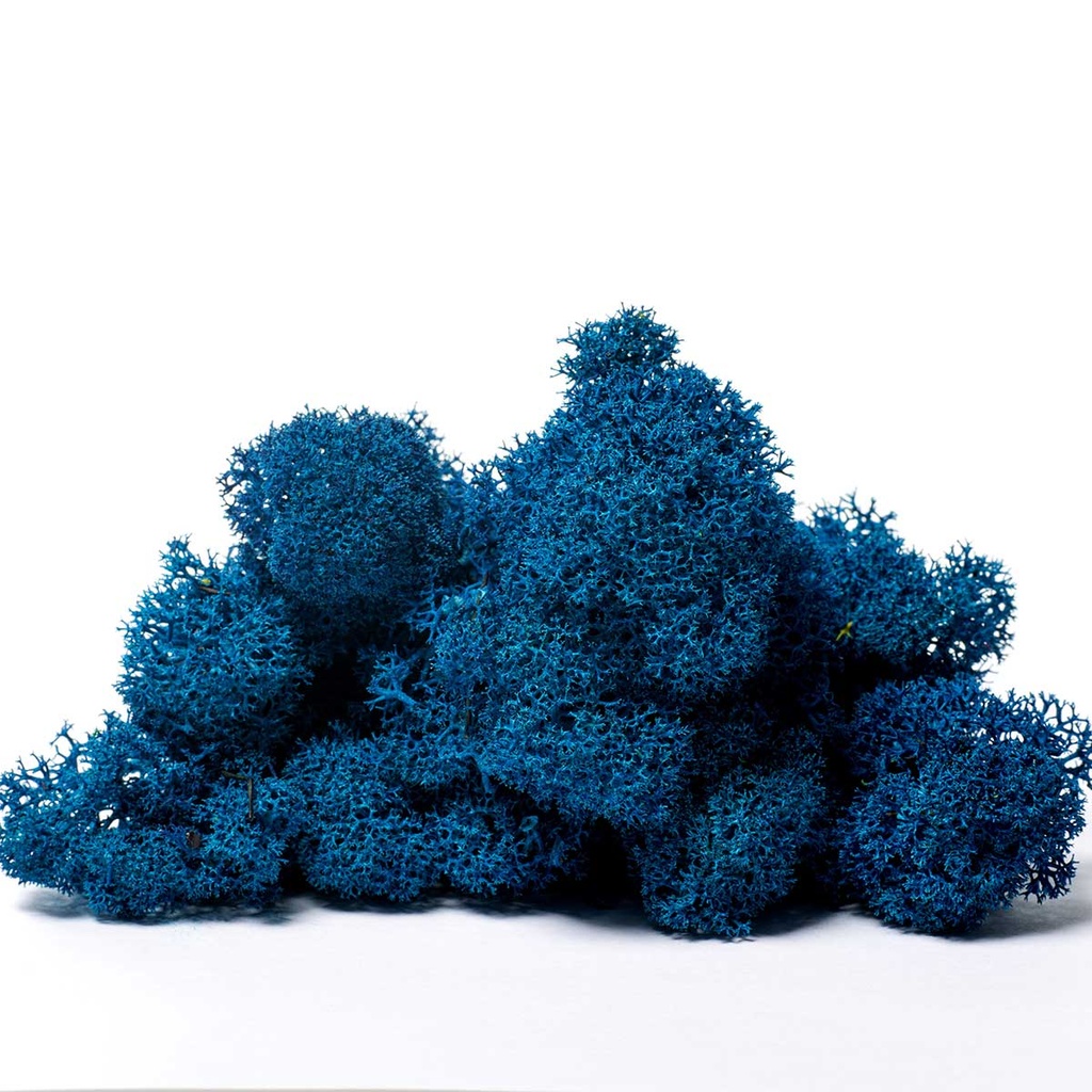 LIR/4085 Lichen stabilisée Bleu Box 4 kg
