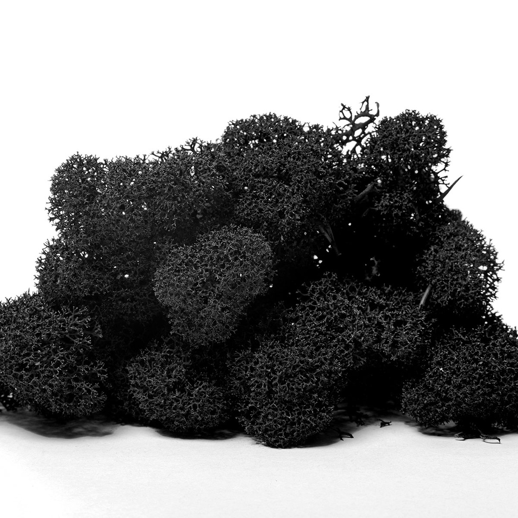 LIR/4052 Lichen stabilisée Noir Box 4 kg