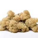 LIR/0556 Lichene stabilizzato Naturale-Pulito - scatola con 0,5 kg