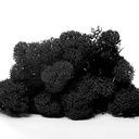 LIR/0552 Lichen stabilisée Noir W-Box 0,5 kg