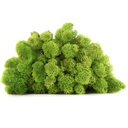 LIR/0579 Stabilisierten Islandmoos Kalk - Sauber - W-Box 0,5 kg