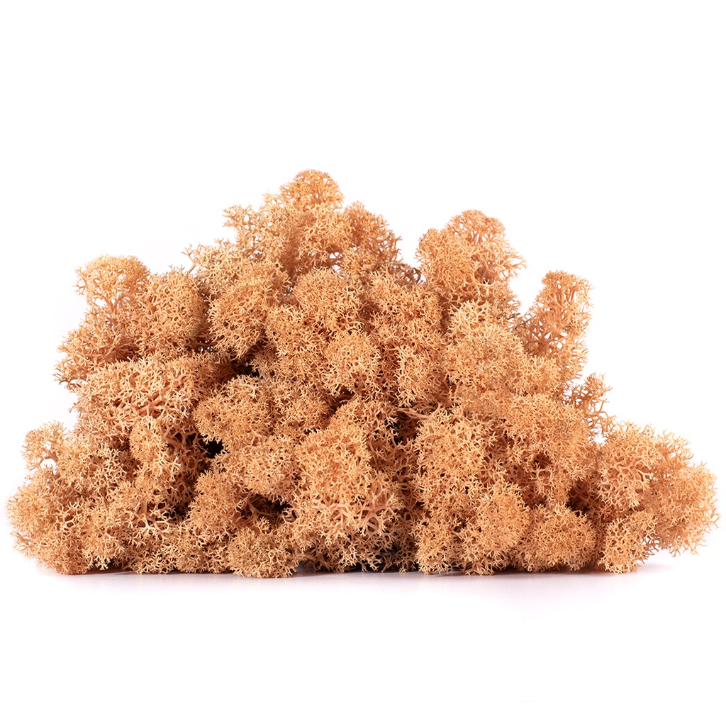 LIC/4068 Stabilisierten Islandmoos Pfirsich- Box 4 kg