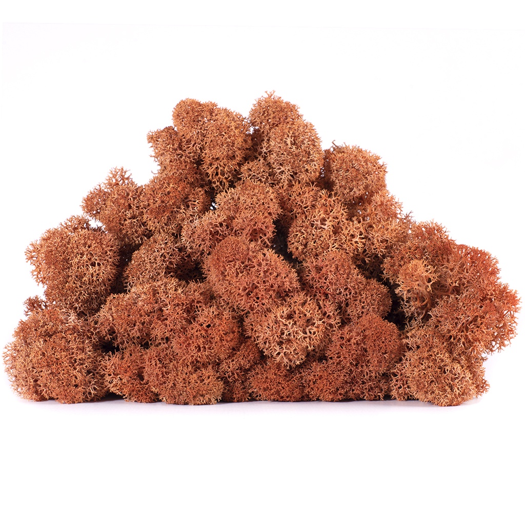 LIC/4073 Stabilisierten Islandmoos Mango- Box 4 kg