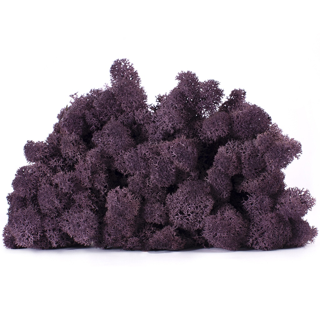 LIC/4088 Stabilisierten Islandmoos Aubergine- Box 4 kg