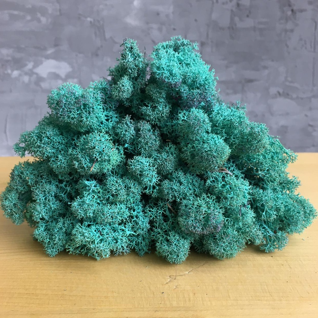 LIR/4087 Lichen stabilisé Tiffany Box 4 kg