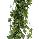 HEP/9103 Lierre Hedera Helix stabilisée Vert 50-70cm