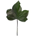 HEH/9100 Lierre Hedera Arborea stabilisée Grand Feuilles Vert 20-30cm X 10 pcs