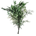 NIC/0104T Nicoly Eukalyptus stabilisierte Grün  40-80cm