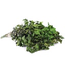 PIT/0103T Pittosporum Tenuifolium stabilisé Vert 30-40 cm