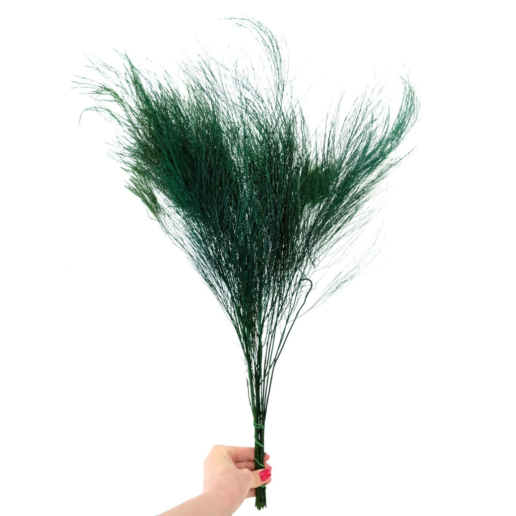 TIK/0104T Tiki - Tree Fern stabilisierte Grün 40-50 cm
