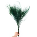 TIK/0104T Tiki stabilisée Vert 40-50 cm