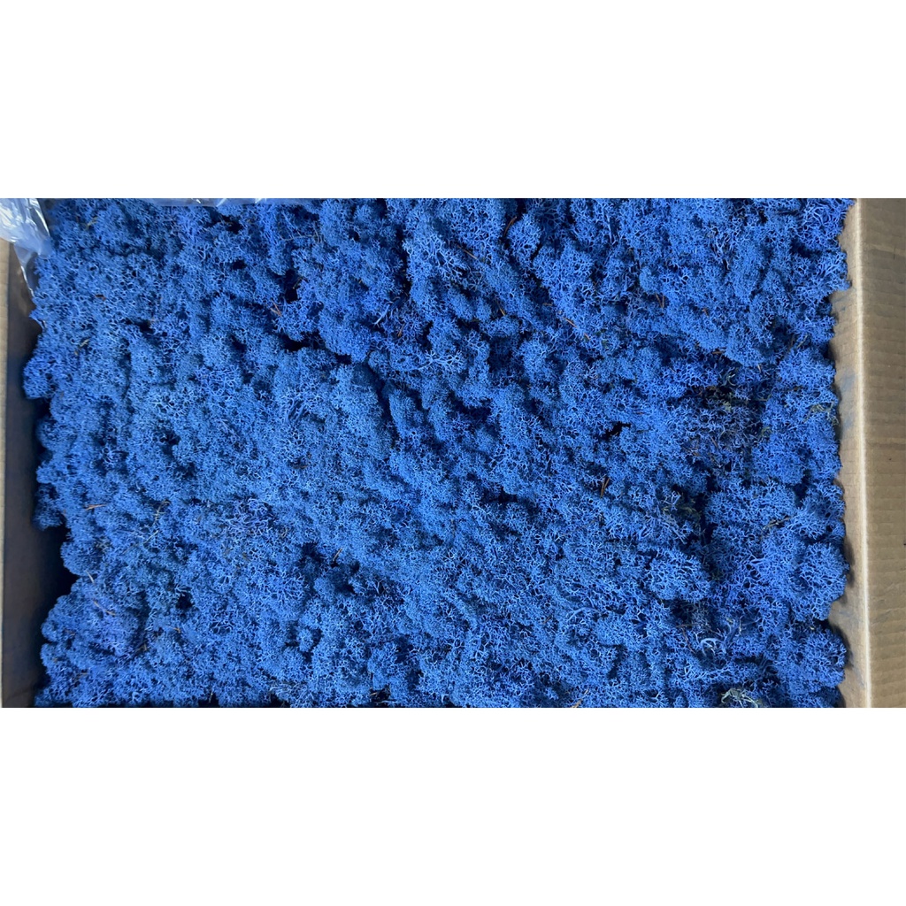 LIC/4074 Stabilisierten Flechte Königsblau - Box 4 kg