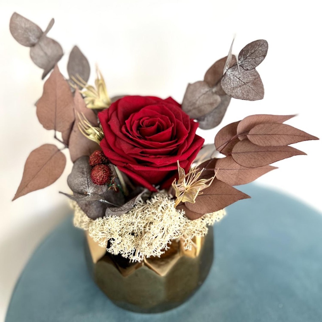 RSGM/2800 Premium Ciotola d'oro/M