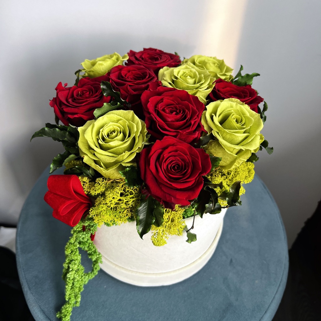 RSXL/2150 Compositon Red&Green/L