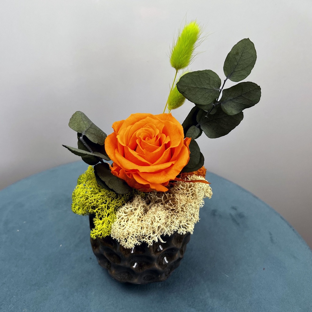 RSXS/2530 Premium Orange Bowl/S