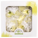 CYM/1100 Orchidee Stabilisierte Grün W-Box 4  knospen