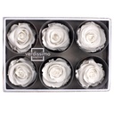 RST/2000 Rose Köpfe Stehen Stabilisierte Blanc W-Box 12 knospen