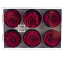 RST/2800 Têtes de Roses Standard stabilisée Bourgogne W-Box 6 têtes