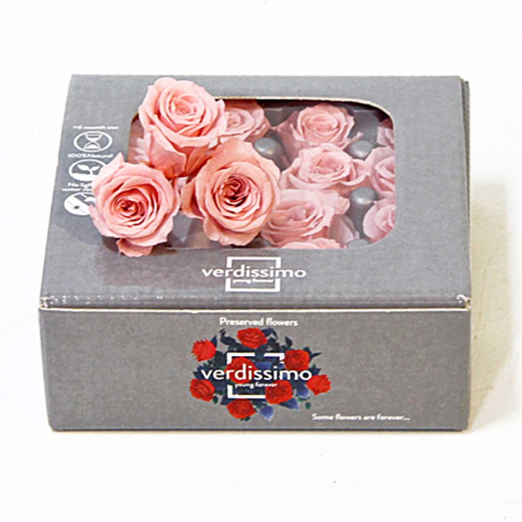 RSP/4450 Rose Köpfe Prinzessin stabilisierte Vintage Rosa 16 Ud
