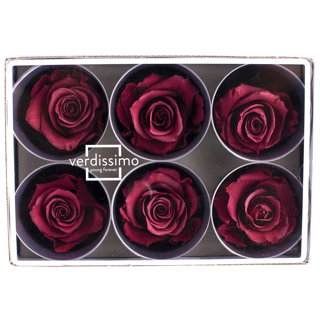 RST/2240 Rose Heads Stand preserved Cranberry W-Box 6 Heads