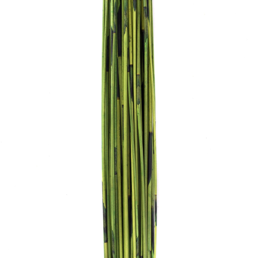 REM/9117 Mash Reed stabilisierte Hell Grün 70-80 cm